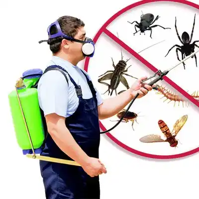 pest control Crow Agency
